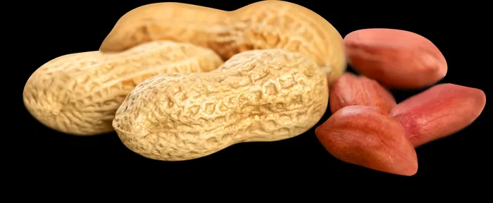 Nuts