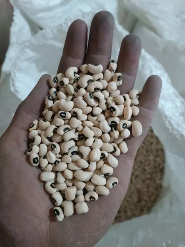 Black eyed beans
