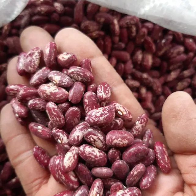 Red speckled kidney beans
